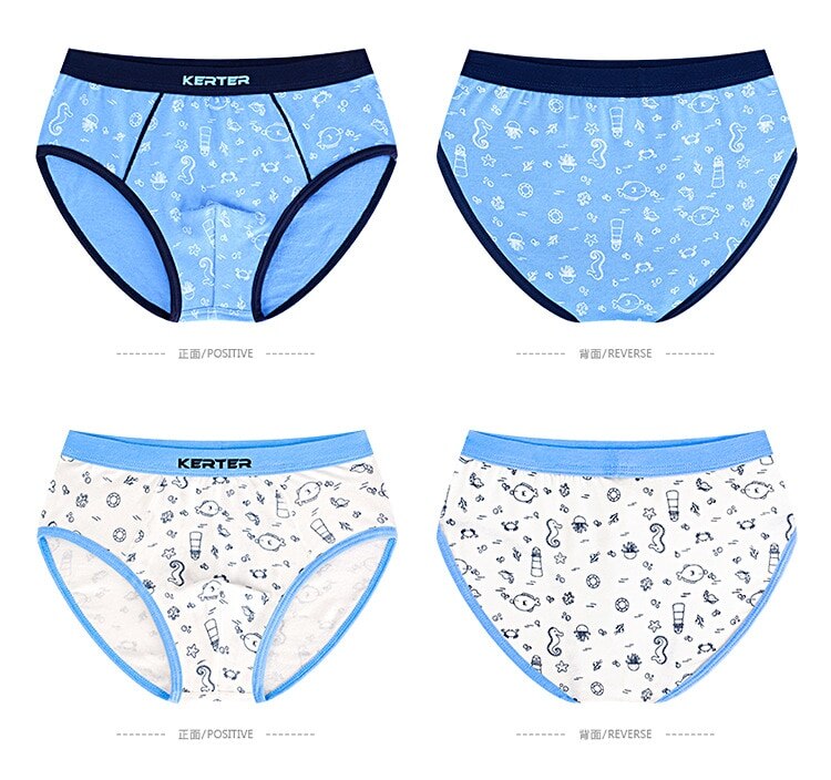 4pcs 100% Cotton Boys Underwear, Kids Quality Boxer Shorts 3-14 Years Old