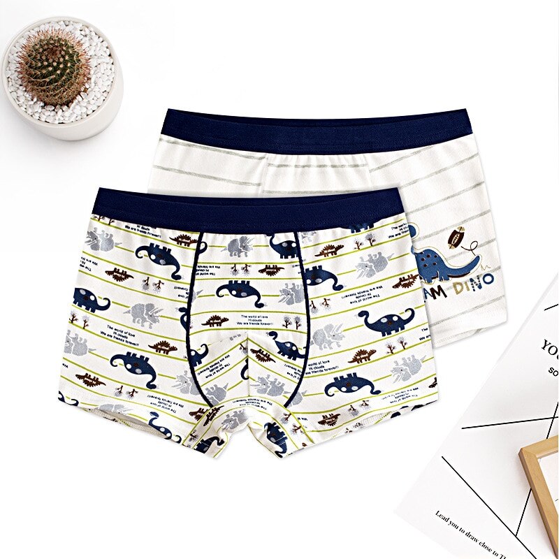 4pcs 100% Cotton Boys Underwear, Kids Quality Boxer Shorts 3-14 Years Old