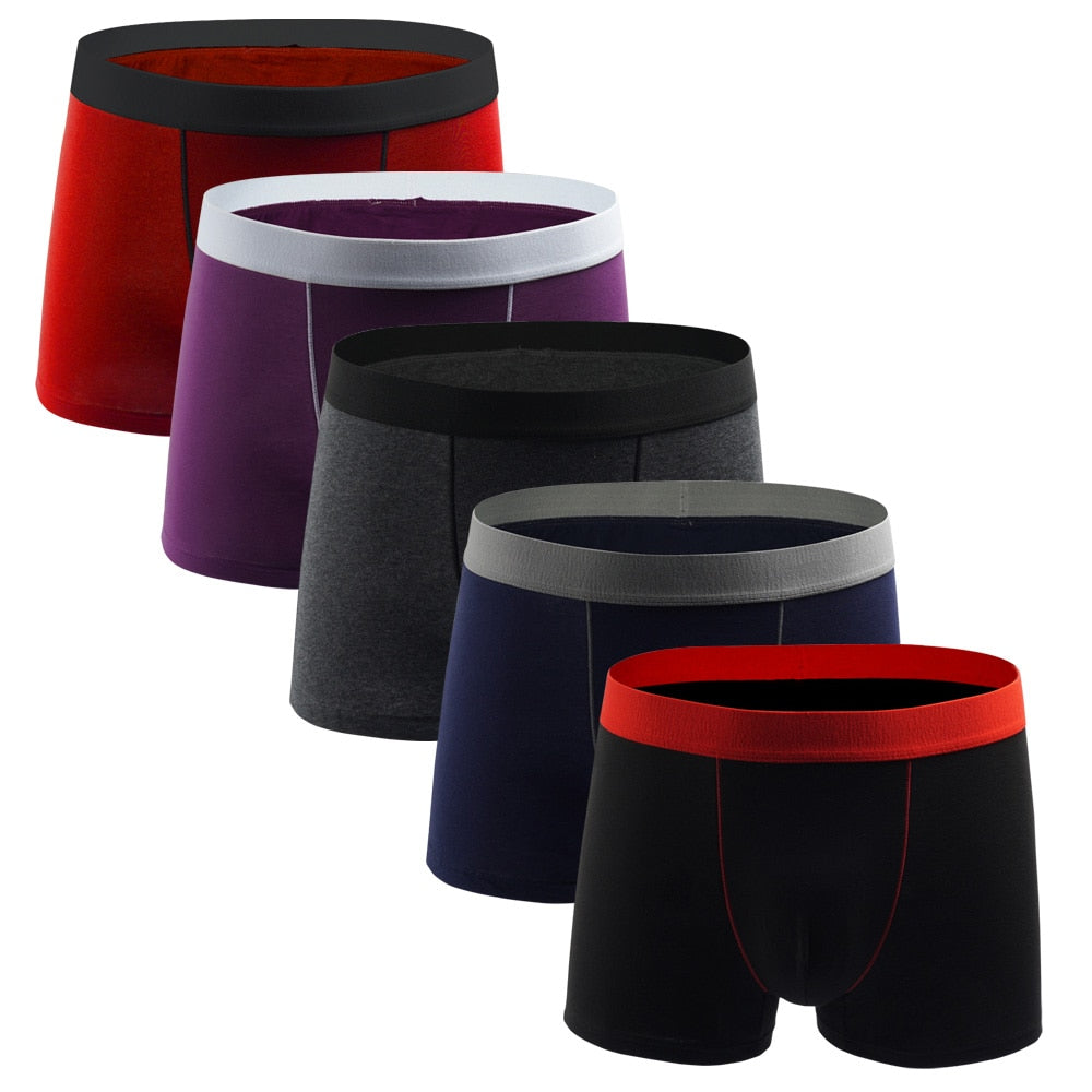 5pcs Boxershorts European Plus Size, Boxers, Underwear Boxers Cotton Boxer Shorts Underpants Trunks