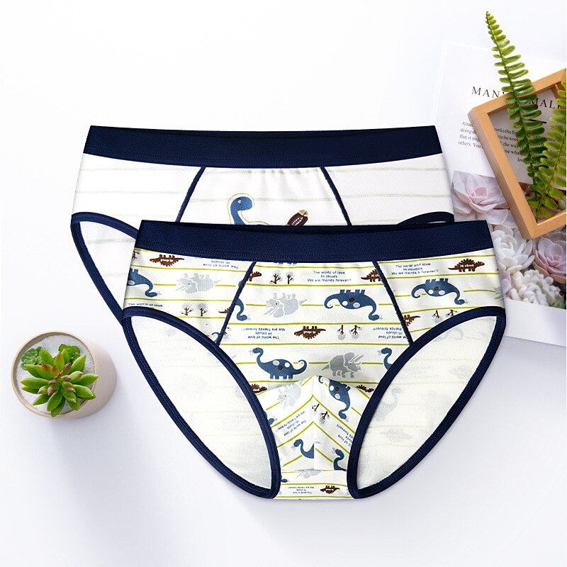 4pcs 100% Cotton Boys Underwear, Kids Quality Boxer Shorts 3-14 Years Old