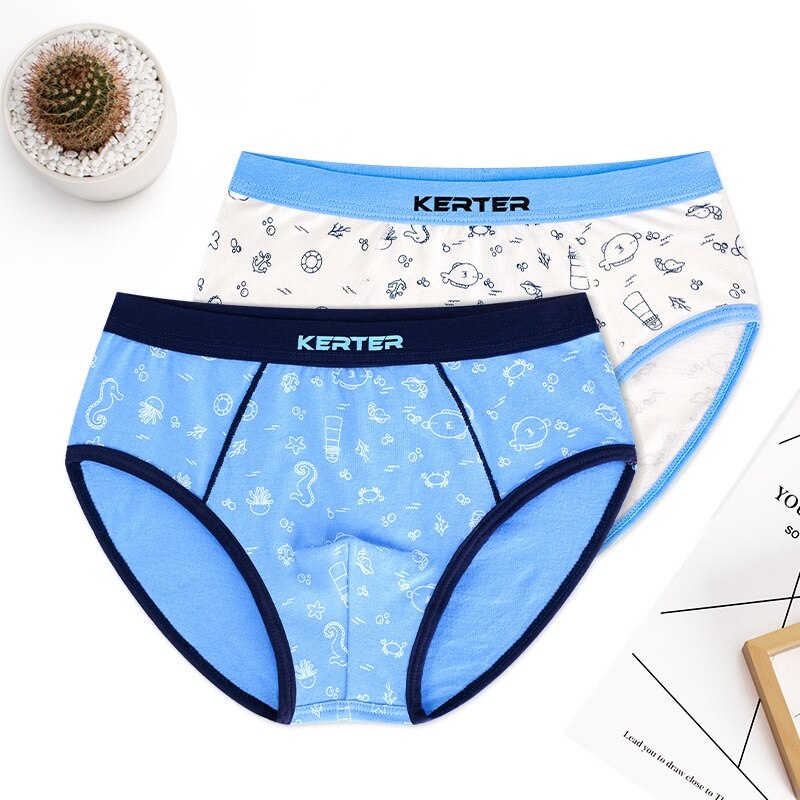 4pcs 100% Cotton Boys Underwear, Kids Quality Boxer Shorts 3-14 Years Old