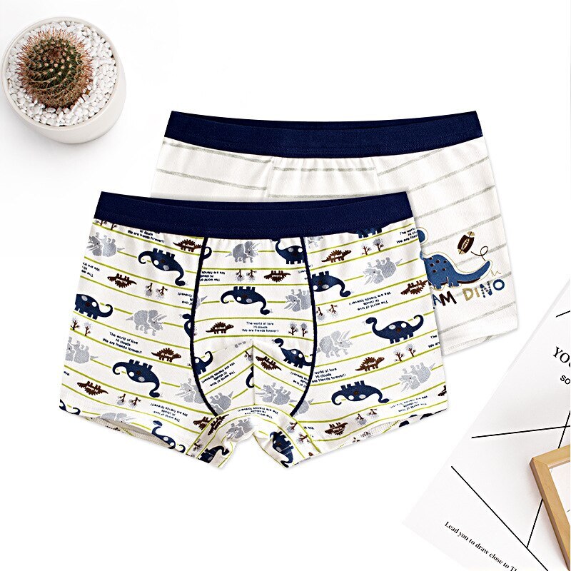 4pcs 100% Cotton Boys Underwear, Kids Quality Boxer Shorts 3-14 Years Old