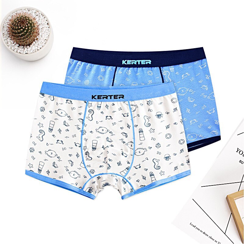 4pcs 100% Cotton Boys Underwear, Kids Quality Boxer Shorts 3-14 Years Old