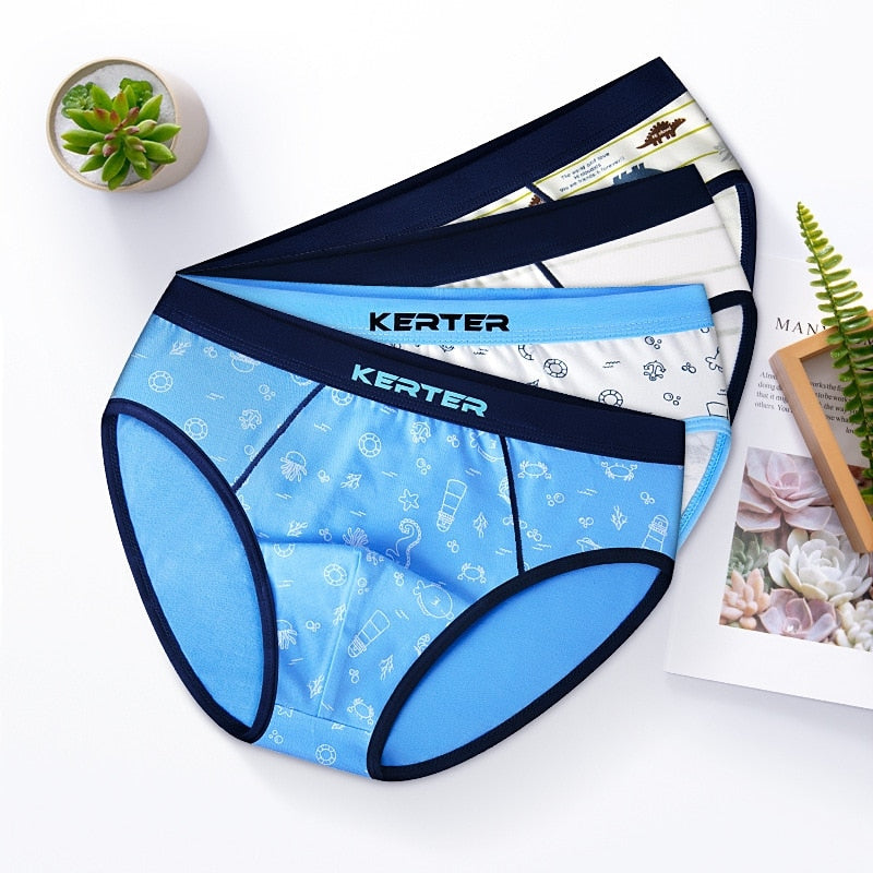 4pcs 100% Cotton Boys Underwear, Kids Quality Boxer Shorts 3-14 Years Old