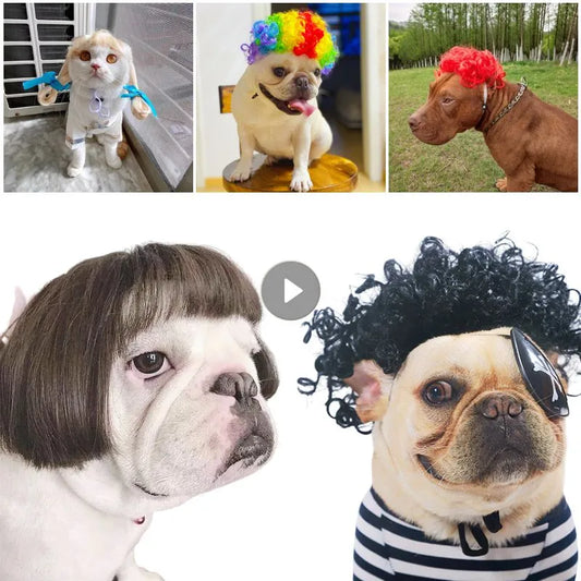 Pet Wigs Cosplay Props Funny Dogs Cats Hair Hat Costumes Head Accessories Pet Supplies