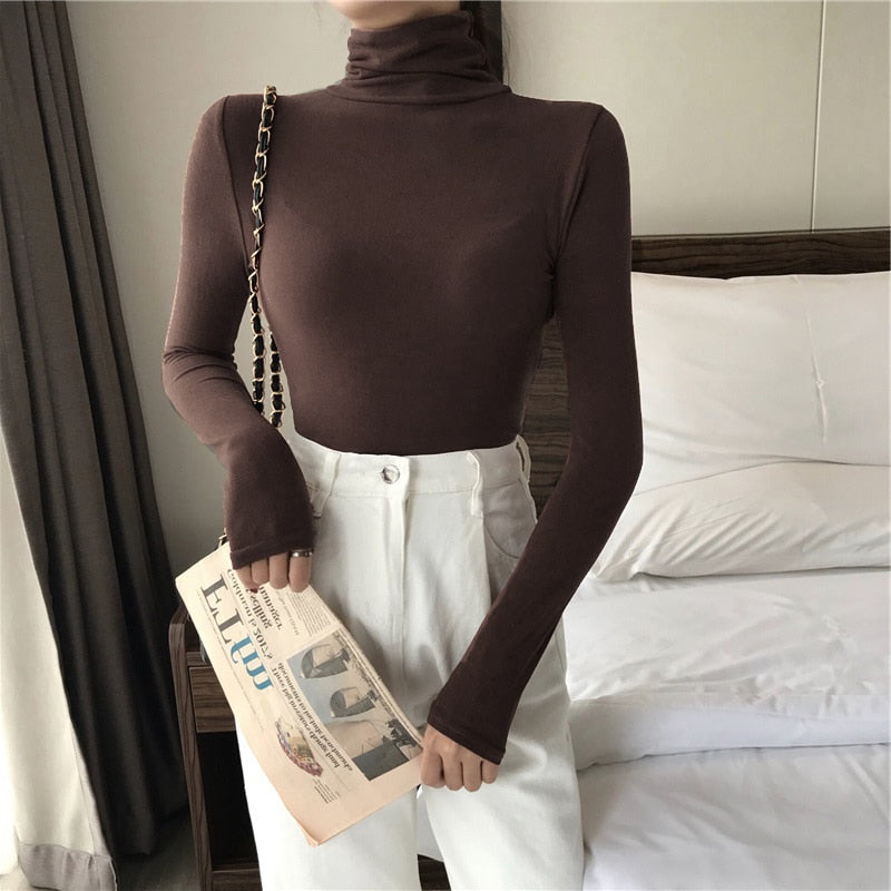 Solid Fitting Turtleneck