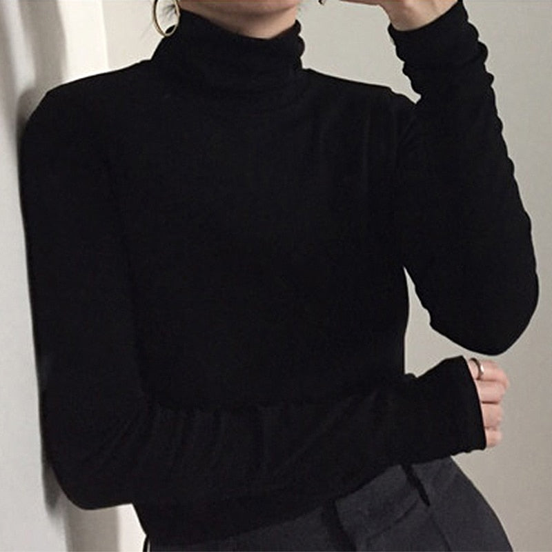 Solid Fitting Turtleneck